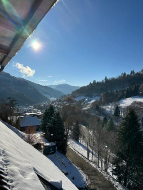 Bollenlodge - Ferienwohnung mit Ausblick und Top Lage
